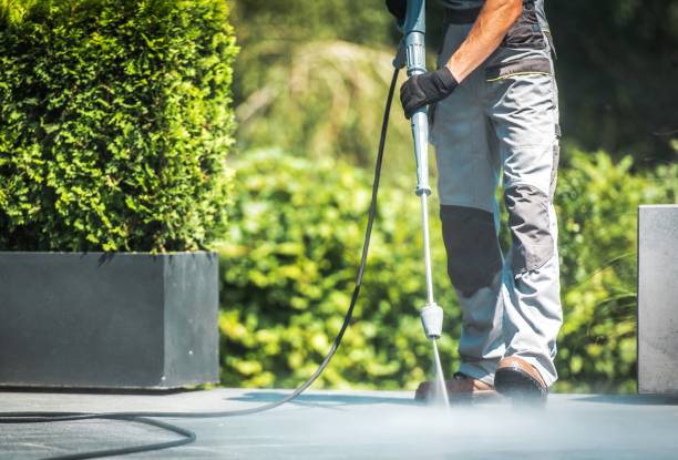 Best Window and Screen Pressure Cleaning in Lewisville, TX